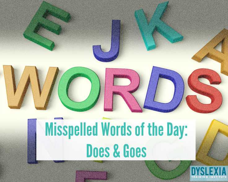 Misspelled Words of the Day Does and Goes Dyslexia Training