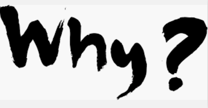 Why - Dyslexia Training Institute Blog