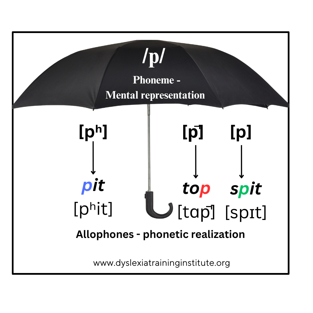 Phoneme Representation